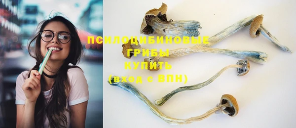 mdma Медногорск