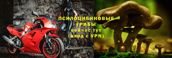 гидра Магас