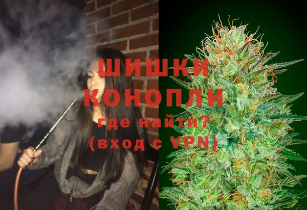 гидра Магас