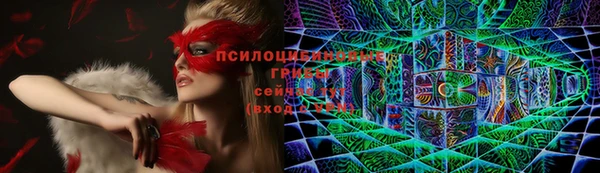 трава Майский