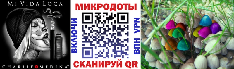 Псилоцибиновые грибы GOLDEN TEACHER Купить Талдом